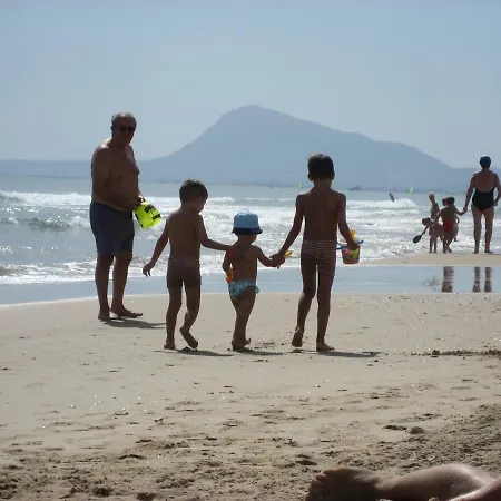 Hello Ana * 올리바