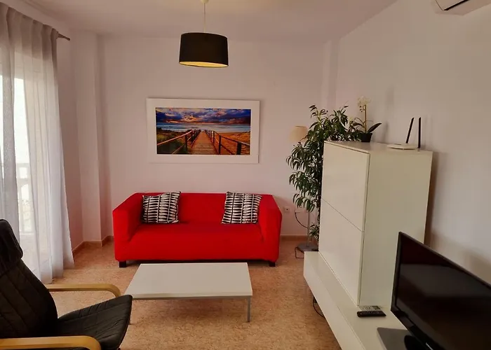 Hello Ana Олива